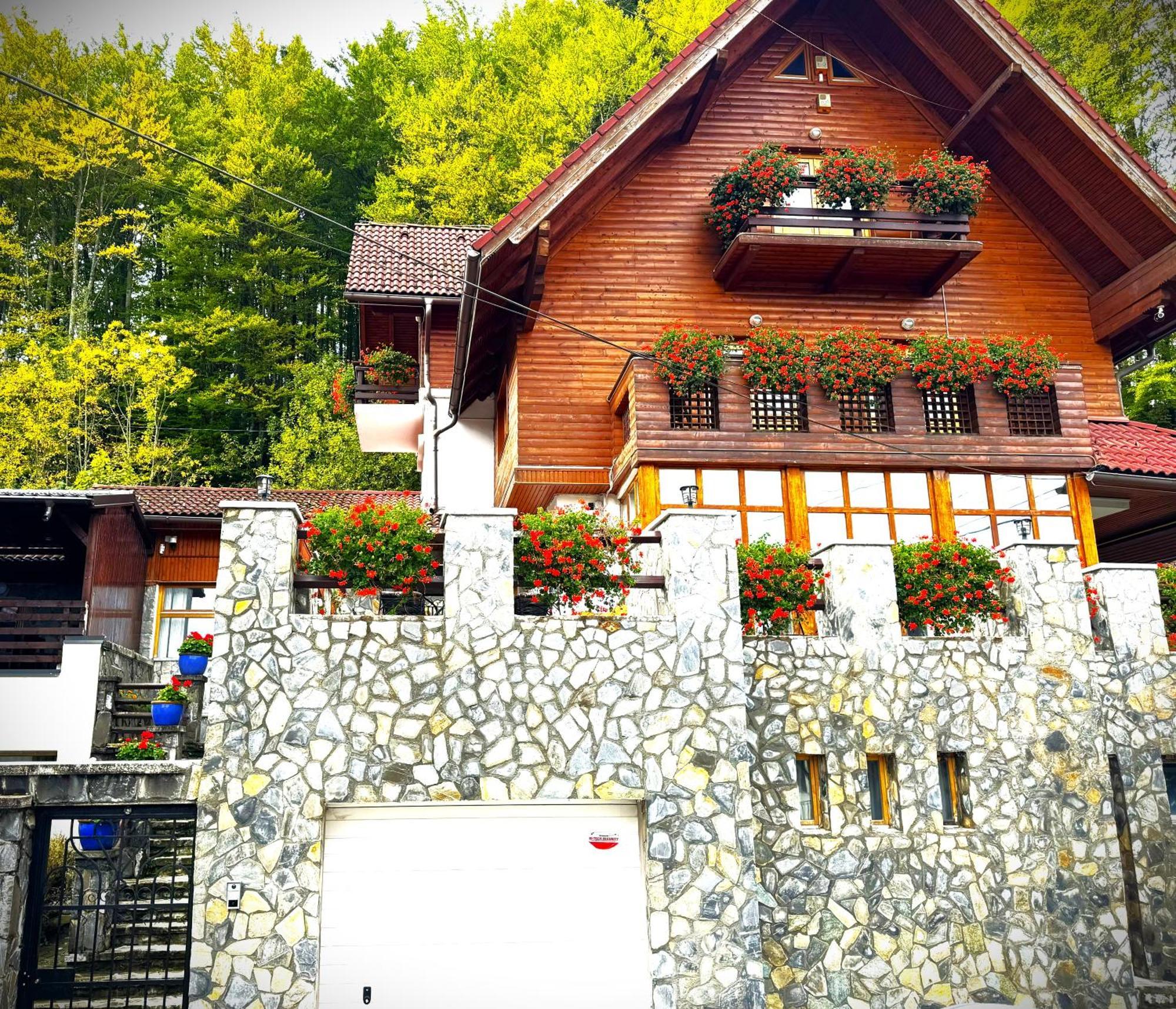 Hotel Alisio à Sinaia Extérieur photo